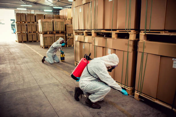 Best Wildlife Control Services  in Emerson, GA