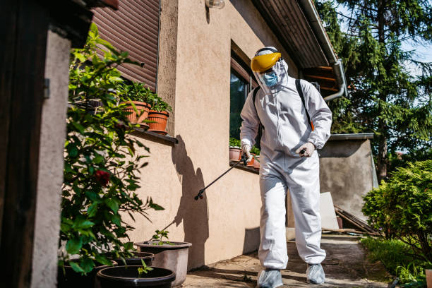 Best Cockroach Control Services  in Emerson, GA