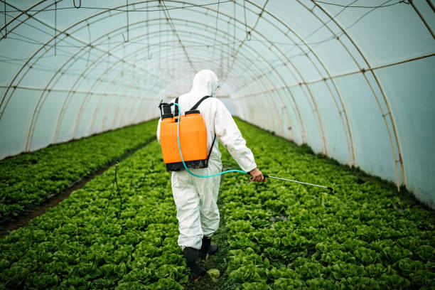 Best Pest Control for Restaurants  in Emerson, GA