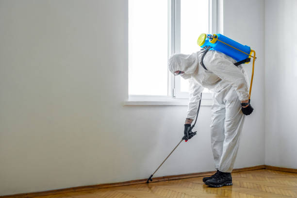 Best Pest Control for Businesses  in Emerson, GA