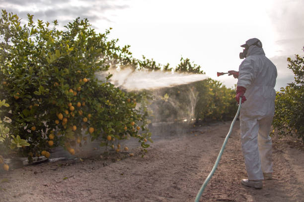 Best Best Pest Control Companies  in Emerson, GA