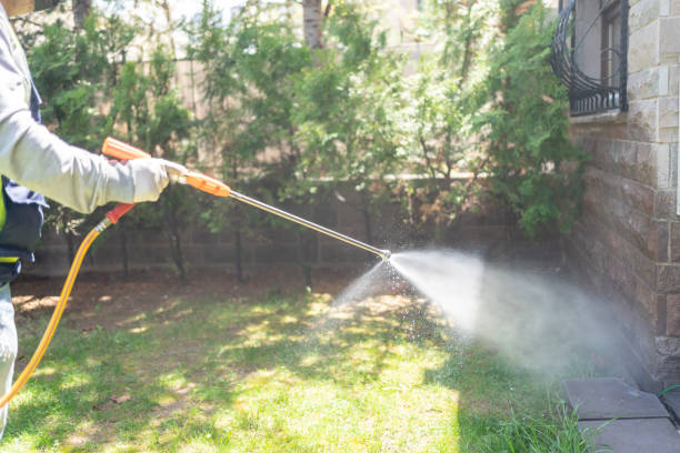 Pest Prevention Services in Emerson, GA