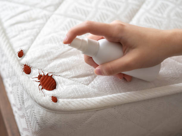 Best Affordable Pest Control Services  in Emerson, GA