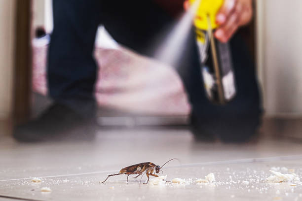 Best Flea Control Services  in Emerson, GA