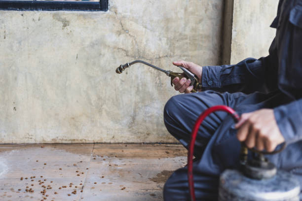 Best Mosquito Control Services  in Emerson, GA